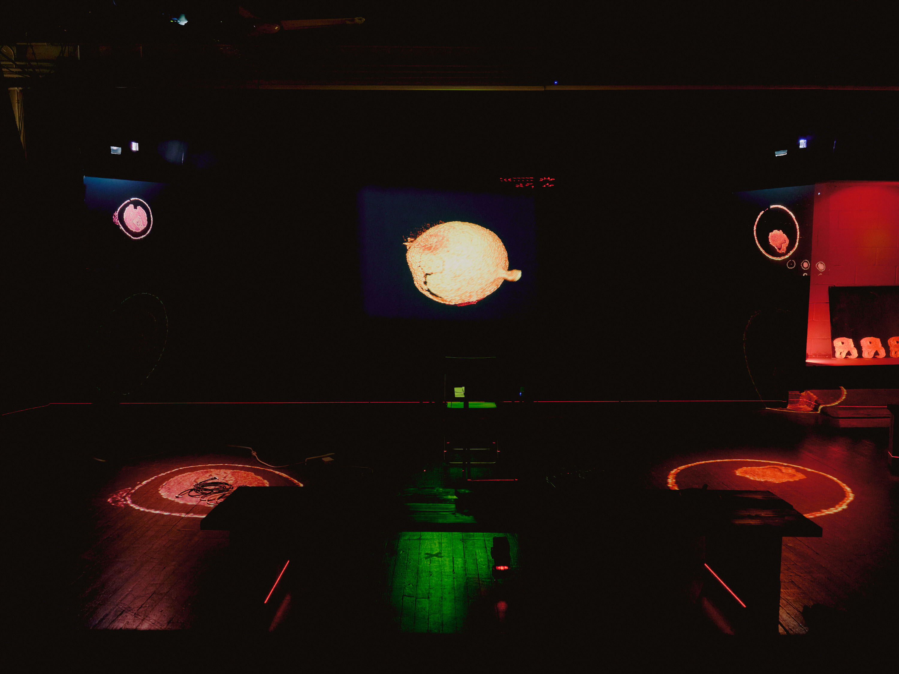 H.D. Reliquary - Image 4